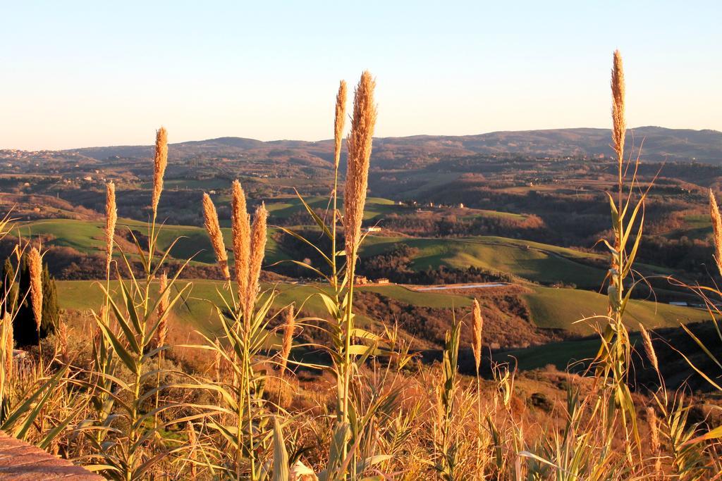 Agriturismo Le Docce Castelfiorentino Zewnętrze zdjęcie
