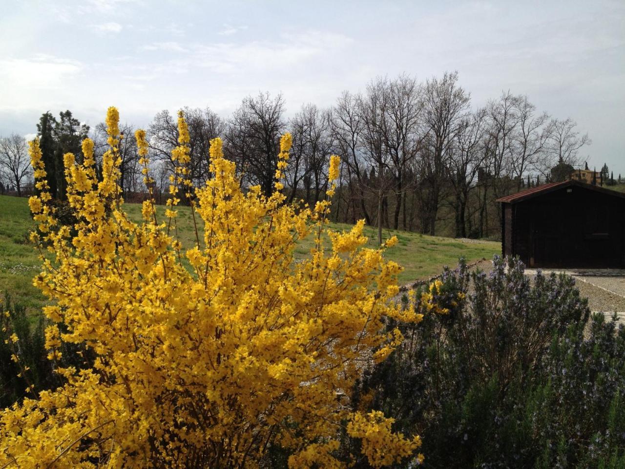 Agriturismo Le Docce Castelfiorentino Zewnętrze zdjęcie